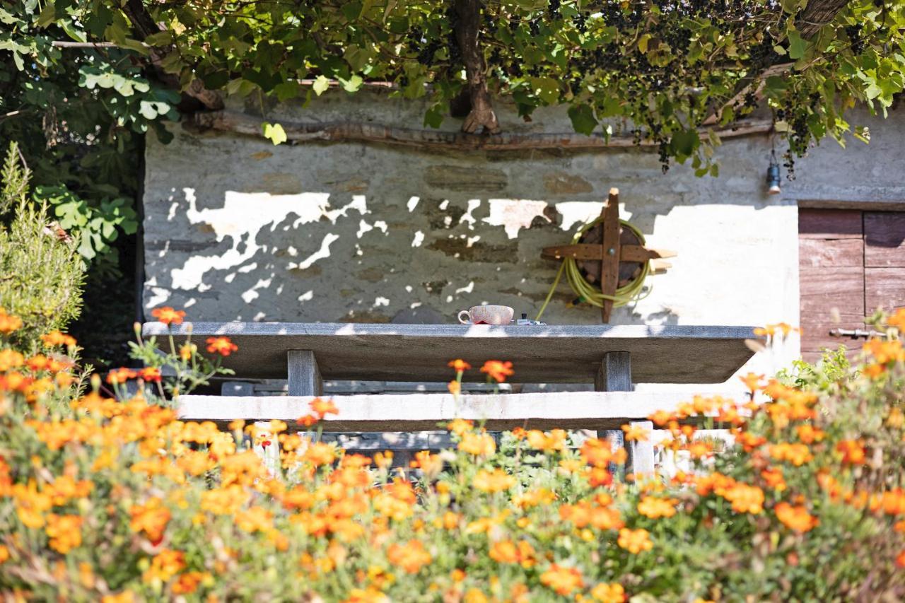 Al Pinone Villa Crevoladossola Luaran gambar